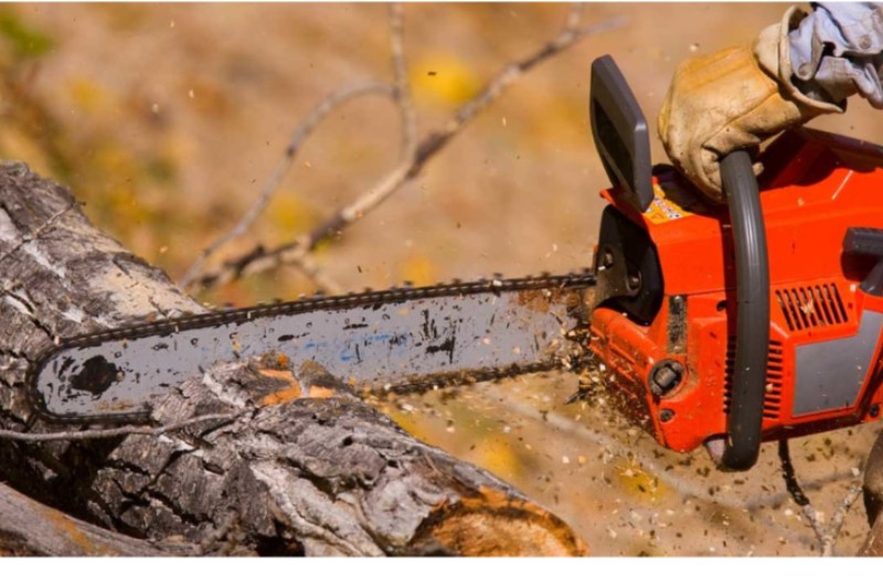 Chain Saw