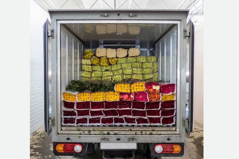 Food Transportation Services