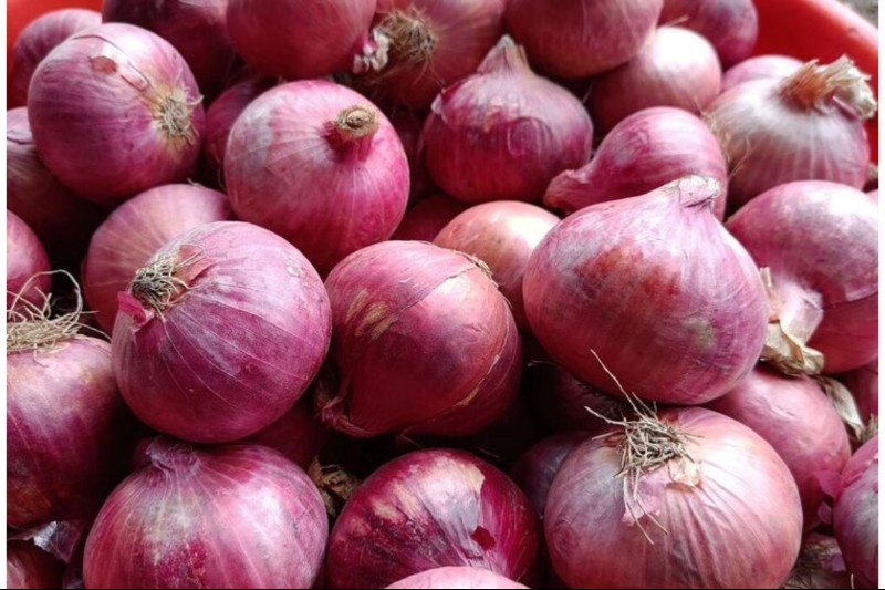Onion
